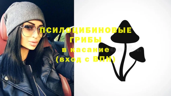 гидропоника Абаза