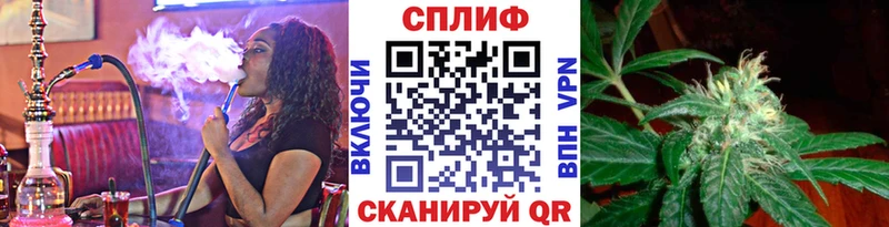 Марихуана план Гаврилов Посад
